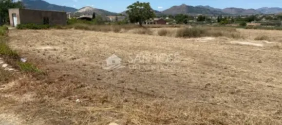 1 bedroom House in Aspe, Spain No. 25814 17