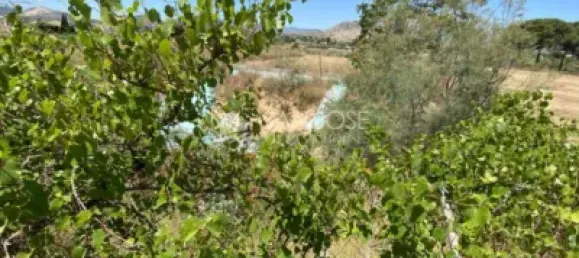 1 bedroom House in Aspe, Spain No. 25814 21