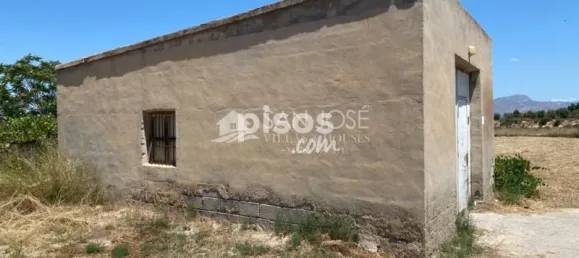 1 bedroom House in Aspe, Spain No. 25814 19