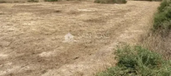 1 bedroom House in Aspe, Spain No. 25814 9