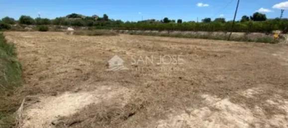 1 bedroom House in Aspe, Spain No. 25814 2