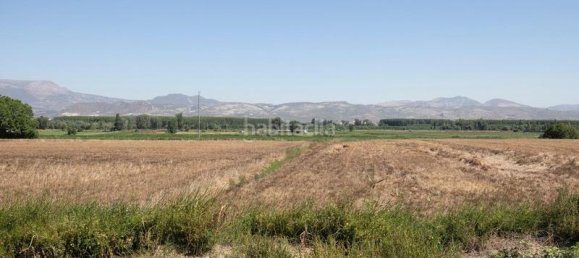 Entrepôt à Cijuela, Spain 700m² No. 181381 19