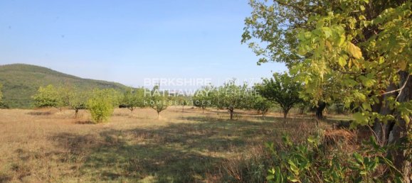 Villa de 7 dormitorios en Volterra, Italy No. 35143 9