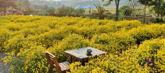 Casa de 2 dormitorios en Mae Rim, Thailand No. 27135 27