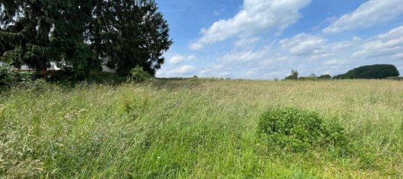 Земельный участок в Оденвальд, Германия № 75603 2