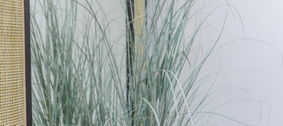 2 غرف نوم شقة في Denia, Spain رقم 285019 11