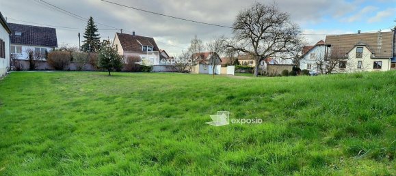 Terrain à Gerstheim, France No. 62358 3