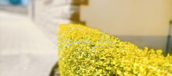 6 bedrooms House in Finistere, France No. 360788 27