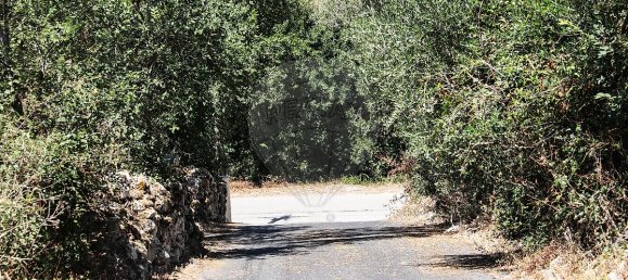 3 bedrooms House in Mafra, Portugal No. 42090 18