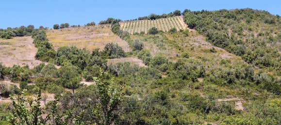 3 bedrooms House in Mafra, Portugal No. 42090 15