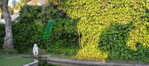 6 chambres Villa à Silves, Portugal No. 129260 31