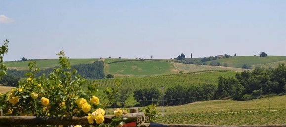 19 bedrooms Villa in Castellina in Chianti, Italy No. 441 4