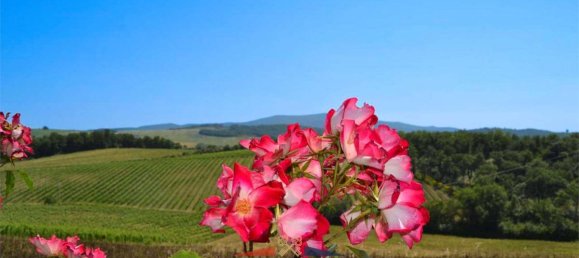 19 bedrooms Villa in Castellina in Chianti, Italy No. 441 6