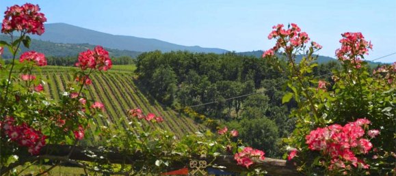 19 bedrooms Villa in Castellina in Chianti, Italy No. 441 3