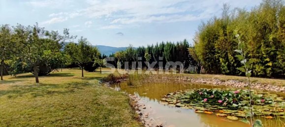 4 Schlafzimmer Haus in Bassy, France, Nr. 289684 20