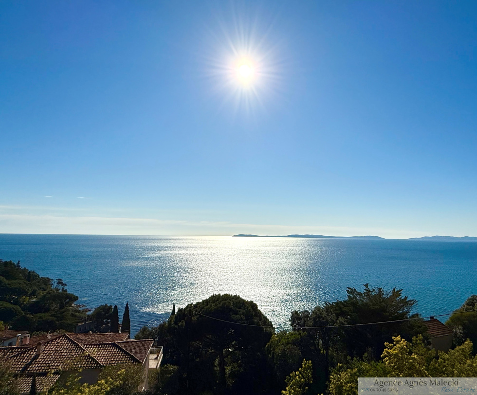 4 Schlafzimmer Villa in Rayol-Canadel-sur-Mer, France, Nr. 99946