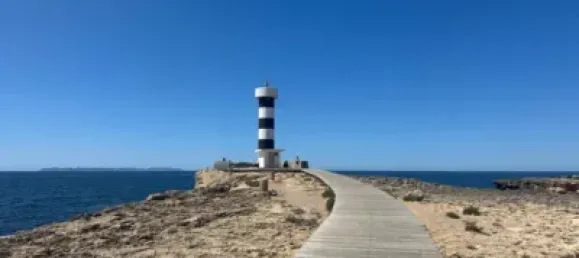 6 bedrooms House in Ses Salines, Spain No. 173952 37