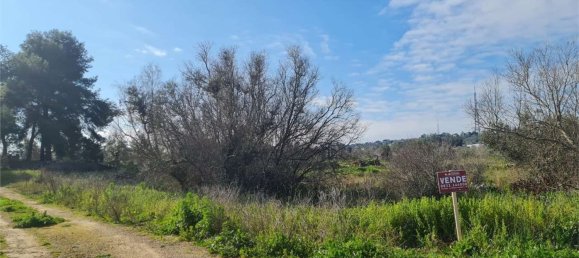 2986m² Land in Collepasso, Italy No. 284046 2