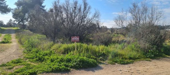 2986m² Land in Collepasso, Italy No. 284046 3