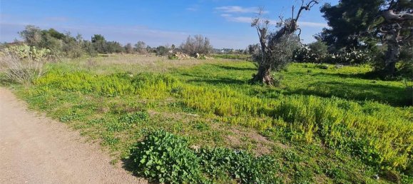 2986m² Land in Collepasso, Italy No. 284046 7