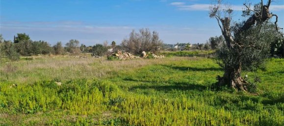 2986m² Land in Collepasso, Italy No. 284046 6