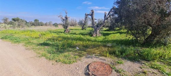 2986m² Land in Collepasso, Italy No. 284046 8