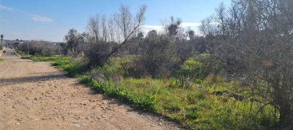 2986m² Land in Collepasso, Italy No. 284046 5