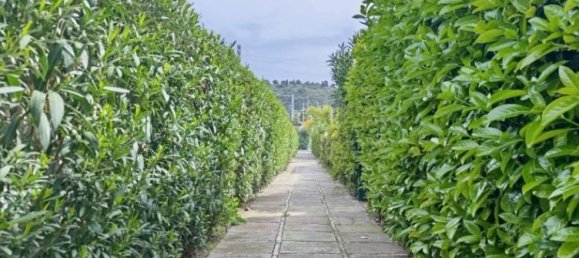 3 bedrooms Villa in Campofelice di Roccella, Italy No. 48057 49