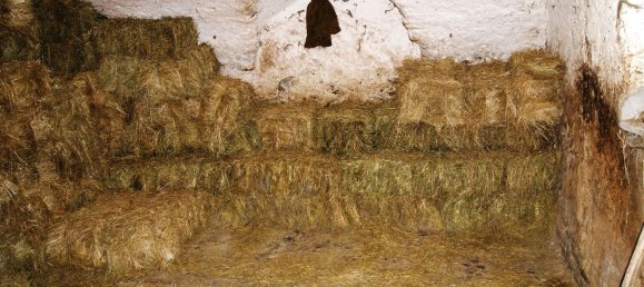 4-Zimmer Haus in Premosello-Chiovenda, Italy, Nr. 101881 9