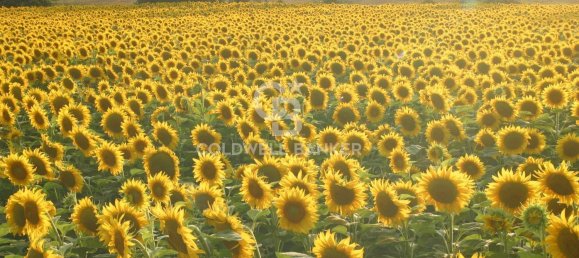 Hotel in Spoleto, Italy 700m², Nr. 300205 16