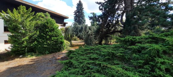 3 Schlafzimmer Haus in Uffholtz, France, Nr. 256055 3