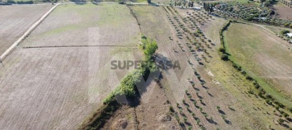 4 bedrooms House in Ladoeiro, Portugal No. 160854 12