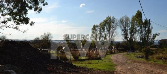 4 bedrooms House in Ladoeiro, Portugal No. 160854 44