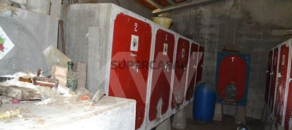 4 bedrooms House in Ladoeiro, Portugal No. 160854 47