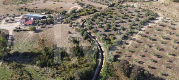 4 bedrooms House in Ladoeiro, Portugal No. 160854 7