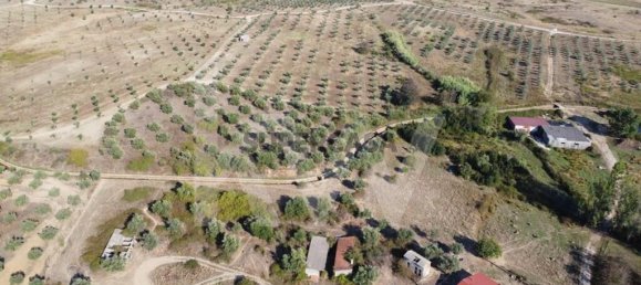 4 bedrooms House in Ladoeiro, Portugal No. 160854 15