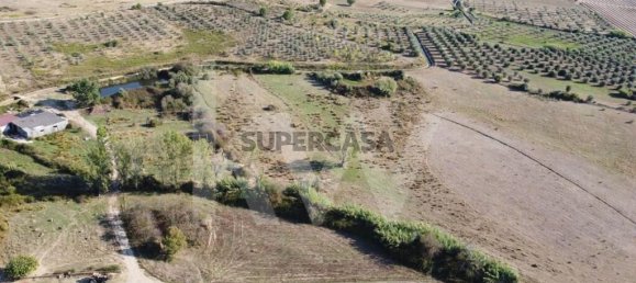 4 bedrooms House in Ladoeiro, Portugal No. 160854 16