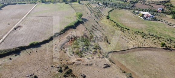 4 bedrooms House in Ladoeiro, Portugal No. 160854 11