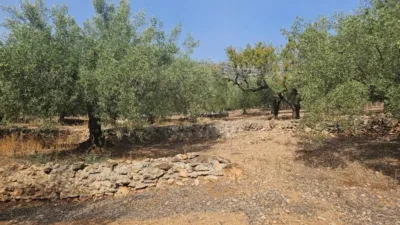 Grundstück in Alcanar, Spain 24000m², Nr. 230501