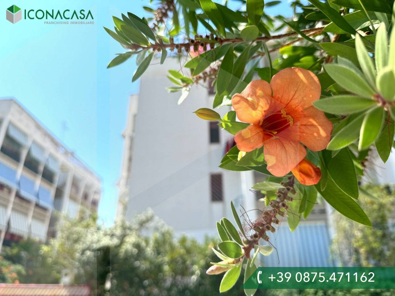 3-Zimmer Wohnung in Campomarino, Italy, Nr. 17778