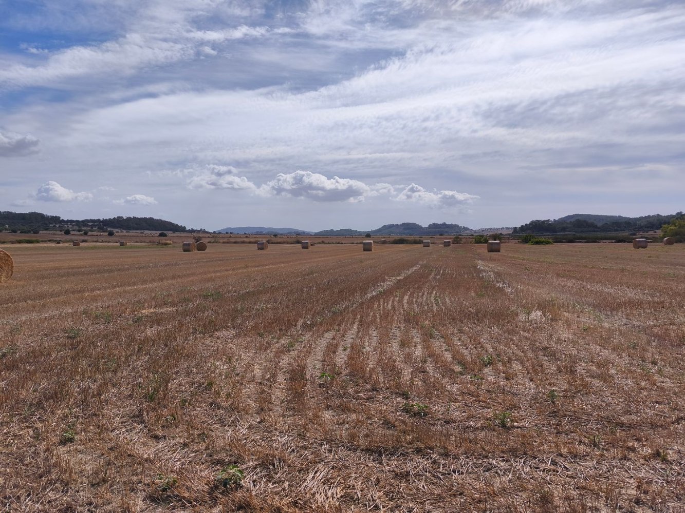  Land in Mallorca, Spain No. 200239