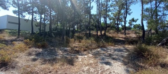 1620m² Land in Grandola, Portugal No. 90323 3