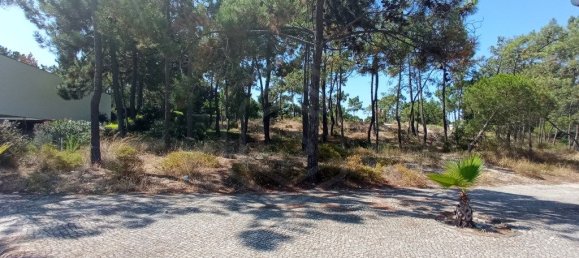 1620m² Land in Grandola, Portugal No. 90323 5