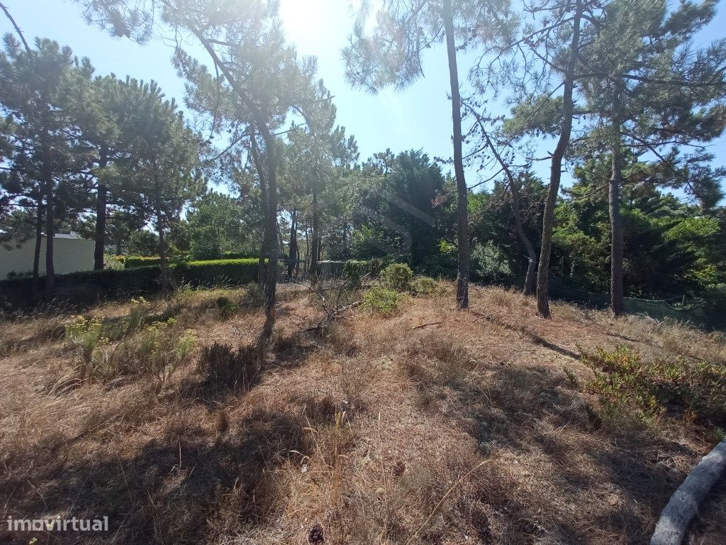 1620m² Land in Grandola, Portugal No. 90323