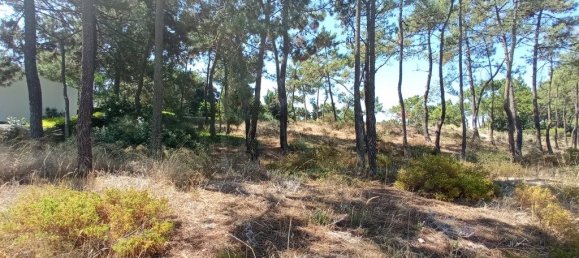 1620m² Land in Grandola, Portugal No. 90323 2