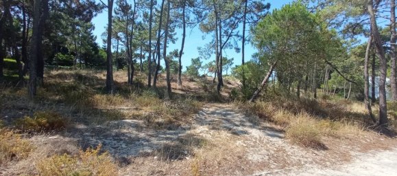 1620m² Land in Grandola, Portugal No. 90323 4