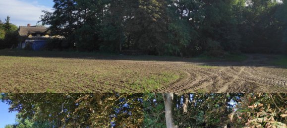 Дом с 3 спальнями в Северо-Западный Мекленбург, Германия № 249745 11