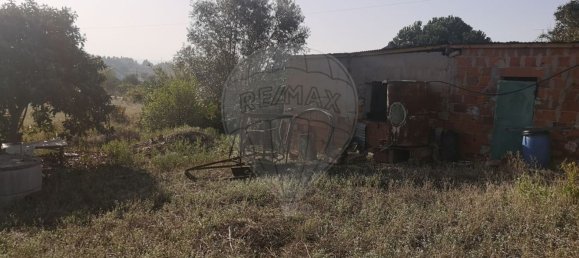 1 bedroom House in Entroncamento, Portugal No. 182744 6