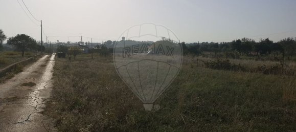 1 bedroom House in Entroncamento, Portugal No. 182744 8