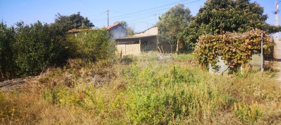 1 bedroom House in Entroncamento, Portugal No. 182744 9